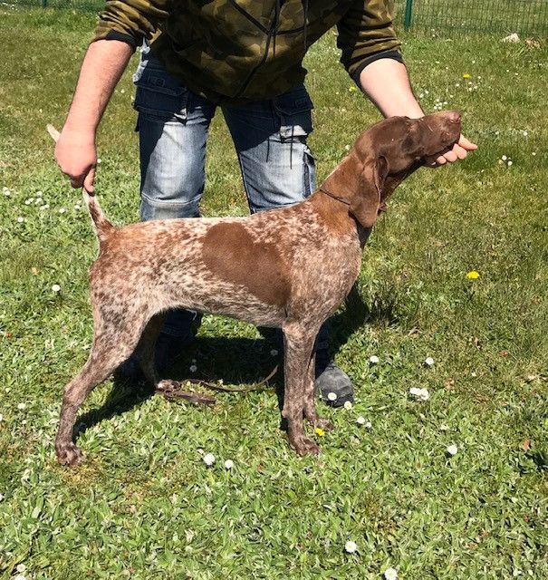 Twix du Clos de Reve d'Or