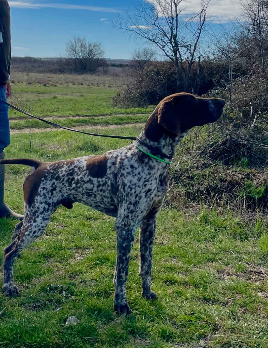 Pradellinensis FIERO